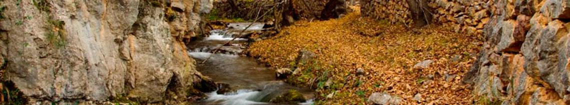 Fontecabras, Jaraba es agua Fontecabras, Jaraba es agua