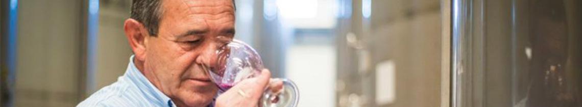 Bodega San Valero finaliza la vendimia 2020 mejorando todas las previsiones Bodega San Valero finaliza la vendimia 2020 mejorando todas las previsiones