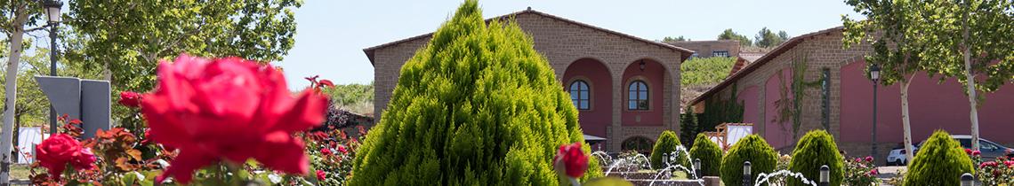 Vistas guiadas y catas en Tierra de Cubas Vistas guiadas y catas en Tierra de Cubas