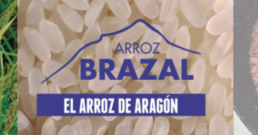 Arroz Brazal