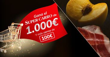 Disfruta Aragón Disfruta Aragón