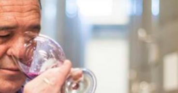 Bodega San Valero finaliza la vendimia 2020 mejorando todas las previsiones