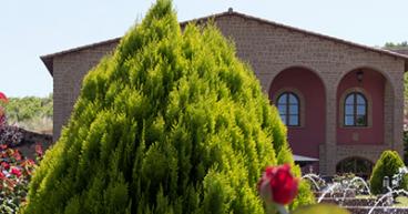 Vistas guiadas y catas en Tierra de Cubas