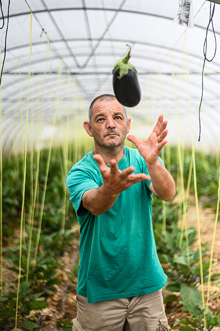 trabajador gardeniers